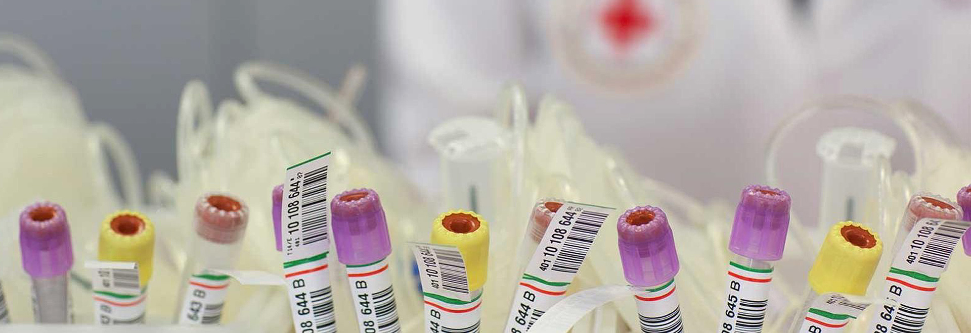 Röhrchen mit beschrifteten Blutproben