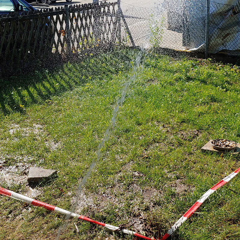 Aussaat einer Blumenwiese und Bewässerung