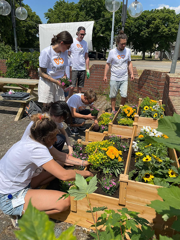Die Mitarbeitenden der Firma Verivox bauen Hochbeete